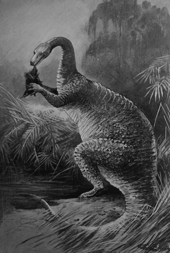 Megalosaurus from Henry R Knipe's Nebula to Man (1905) (Bristol Libraries).