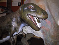 T-Rex gets stuck into The Lost World at the Dinosaur Museum, Dorchester.
